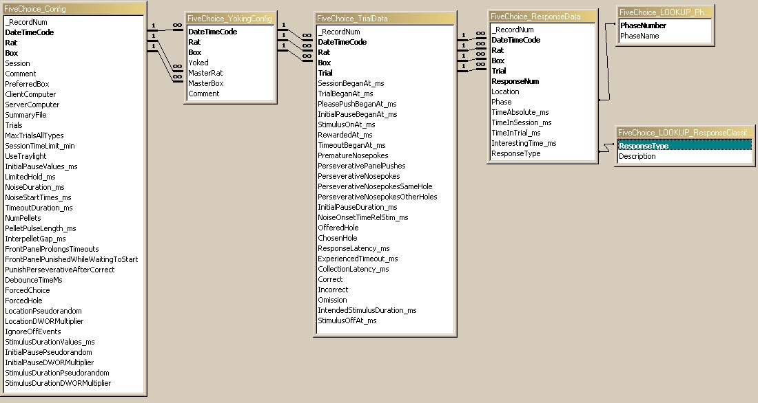 FiveChoice_DatabaseRelationships