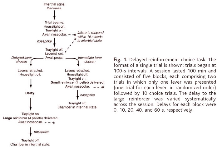 MonkeyCantab_ImpulsiveChoice_Schematic