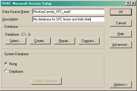MonkeyCantab_Muppet_ODBC3