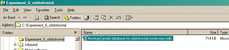 MonkeyCantab_WindowsExplorer2