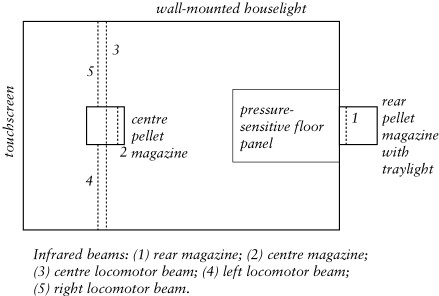 RatBat_chamber_diagram