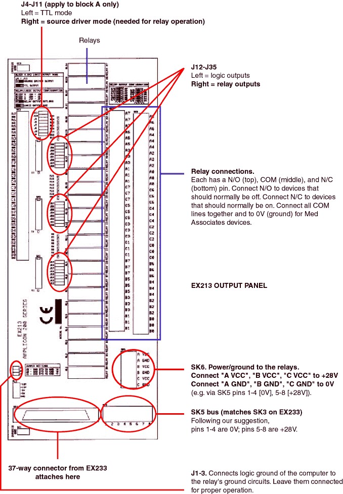 Amplicon_EX213_output